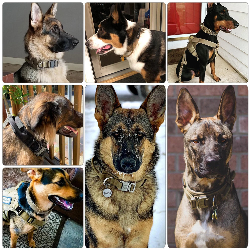 Dog Training Collar Adjustable with Quick Release Buckle