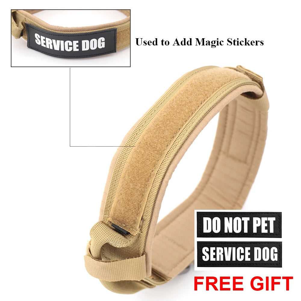 Dog Training Collar Adjustable with Quick Release Buckle