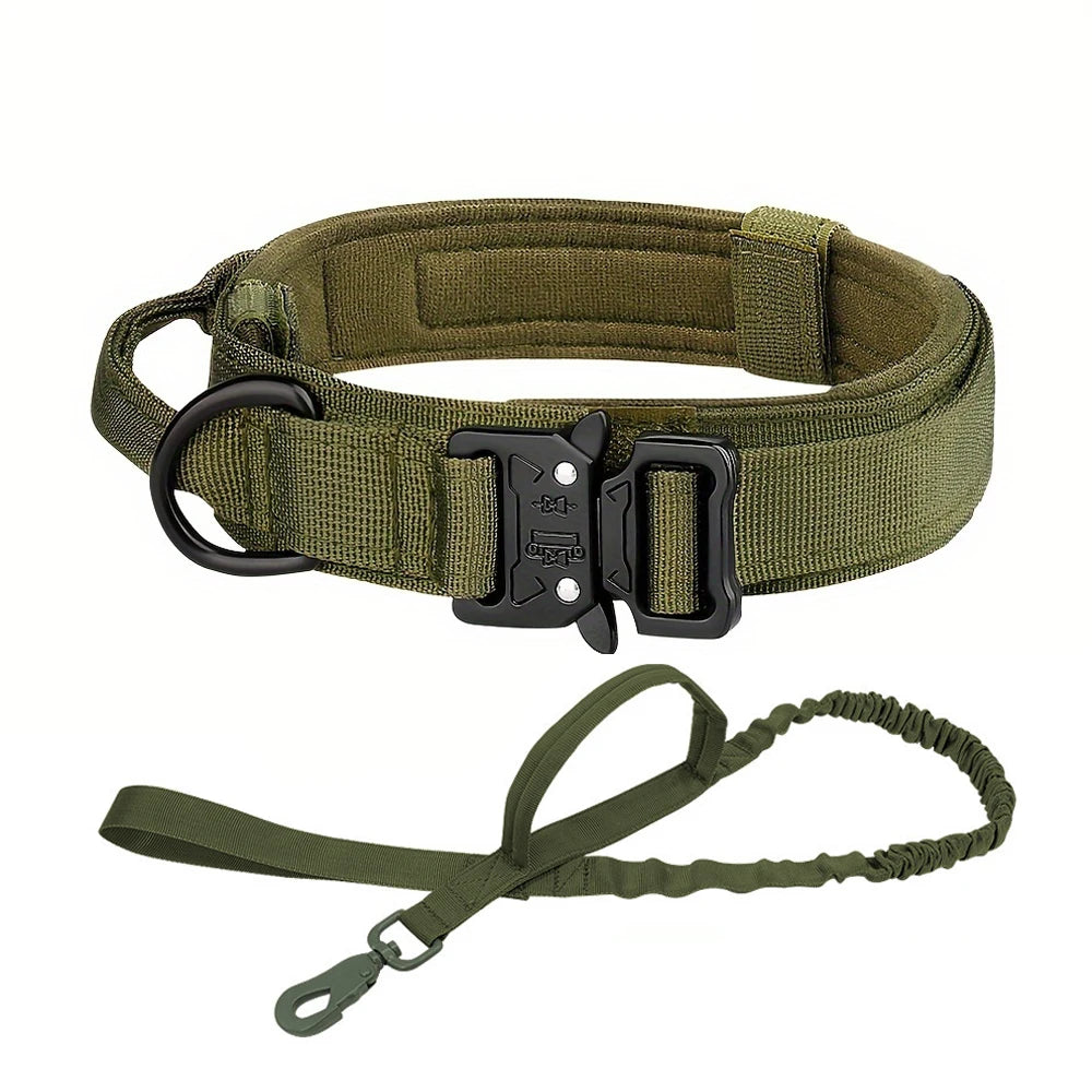 Dog Training Collar Adjustable with Quick Release Buckle