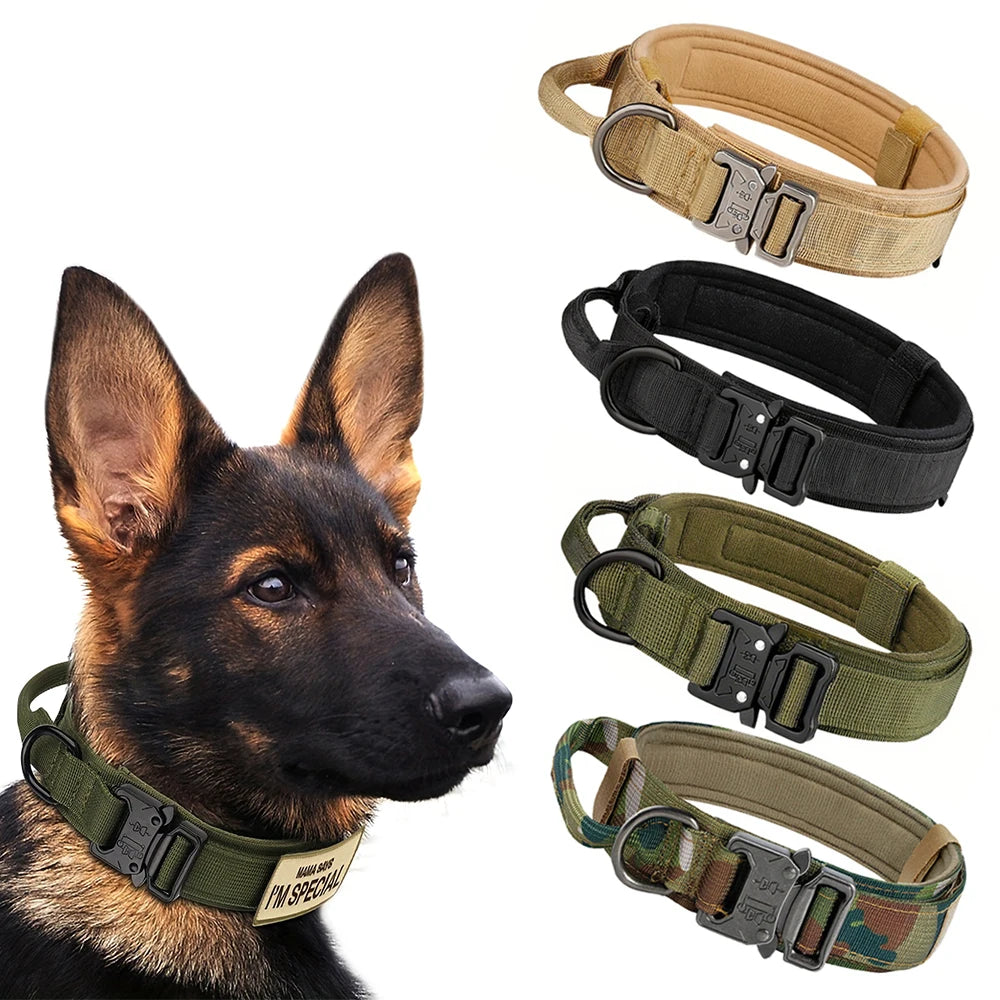 Dog Training Collar Adjustable with Quick Release Buckle