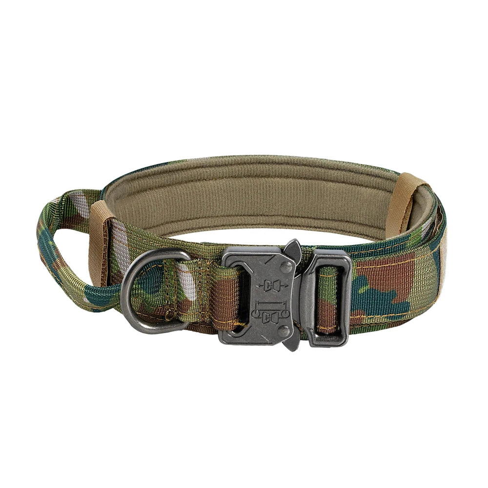 Dog Training Collar Adjustable with Quick Release Buckle