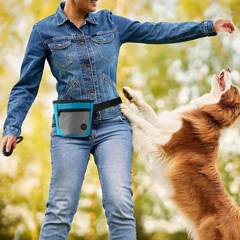 Dog Treat Pouch Magnetic Closure Puppy Training Waist Bag
