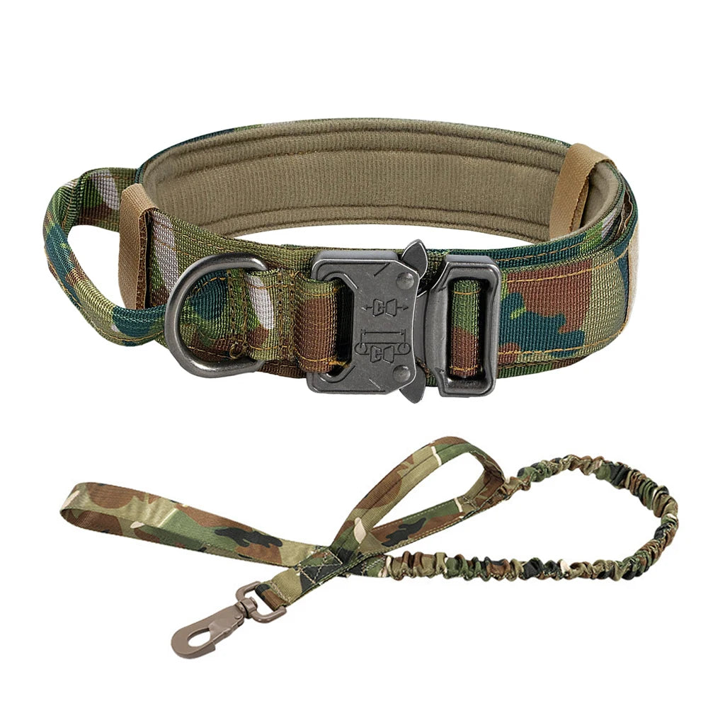 Dog Training Collar Adjustable with Quick Release Buckle