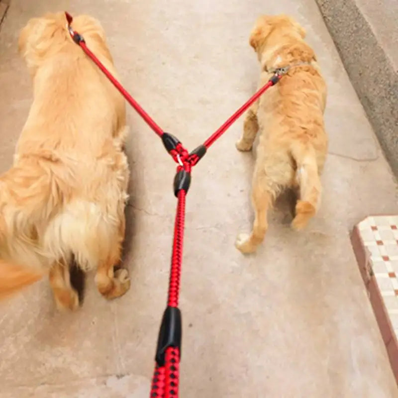 Double 2 Way Dog Leash Rope for Outdoor Training Use