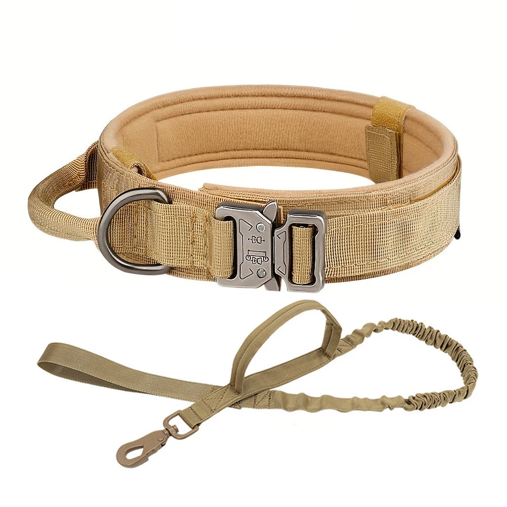Dog Training Collar Adjustable with Quick Release Buckle
