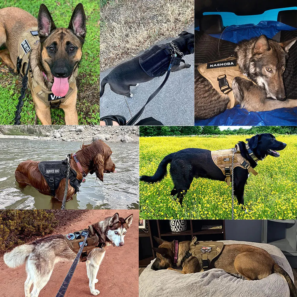 Tactical Dog Harness Leash Set for Large Dogs Durable